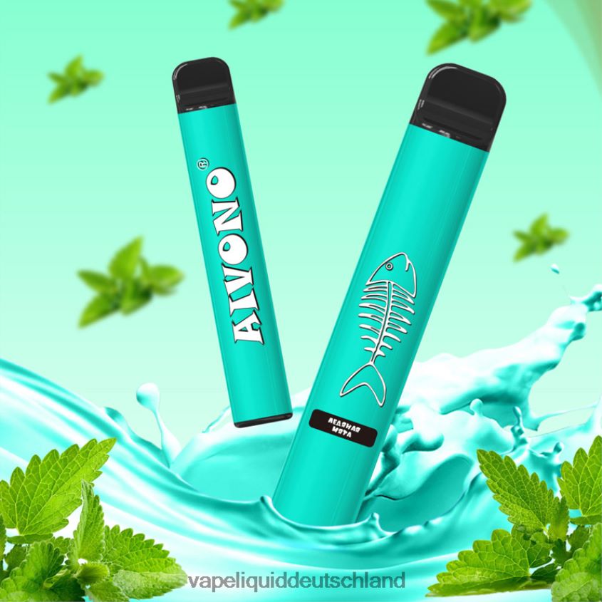 Aivono AIM FISHBONE 600 kühle Minze - 62BZJ6278 Vape Liquid