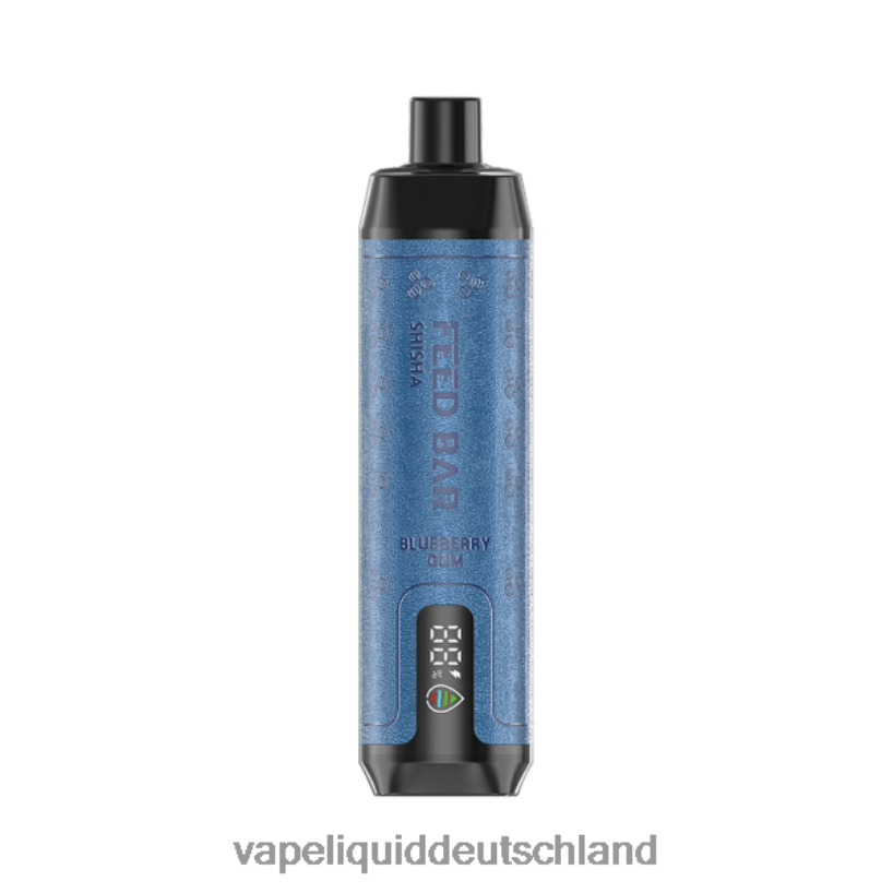 Vapsolo SHISHA Einweg-Vapor Blaubeergummi X068JX116 Vape Deutschland