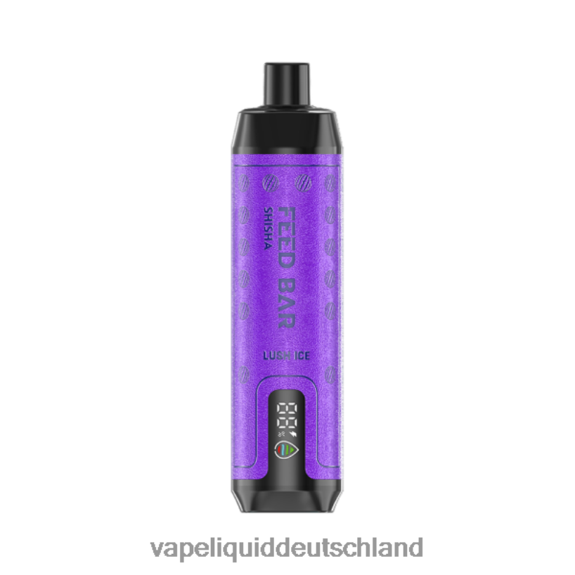 Vapsolo SHISHA Einweg-Vapor üppiges Eis X068JX120 Vape 12000 Züge