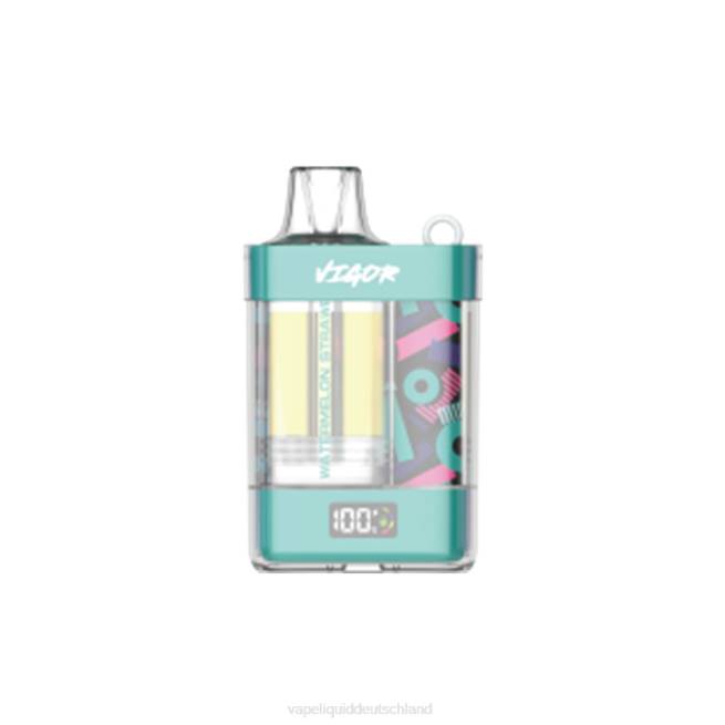 LF6X12 Vape Liquid - Wassermelone Erdbeere LAVIE VIGOR 15000 Züge