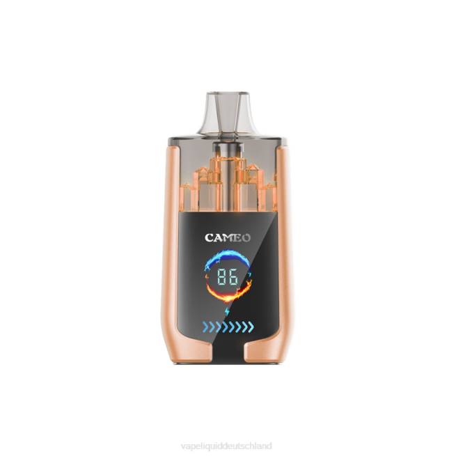 LF6X22 Vape Liquid - Kirsche LAVIE CAMEO 30000 Züge