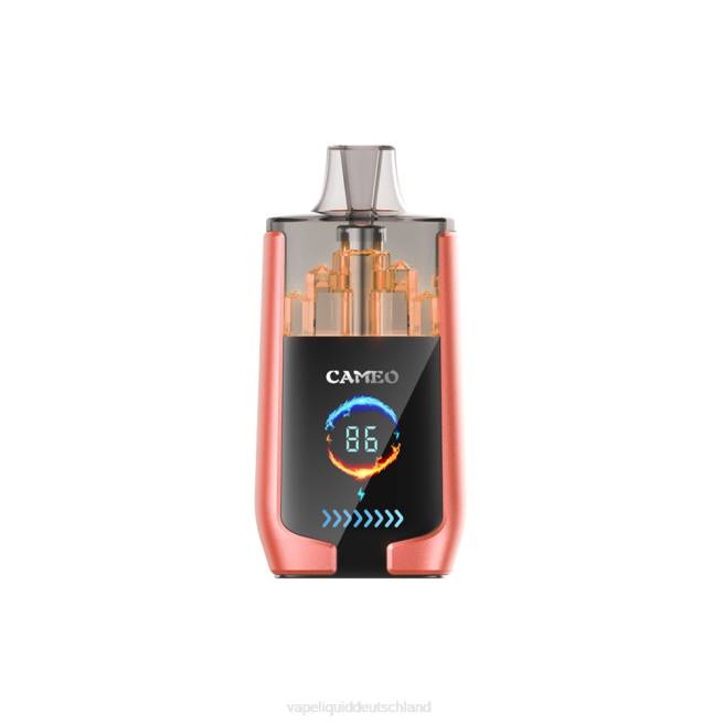 LF6X24 Vape Liquid - Erdbeerwassermelone LAVIE CAMEO 30000 Züge