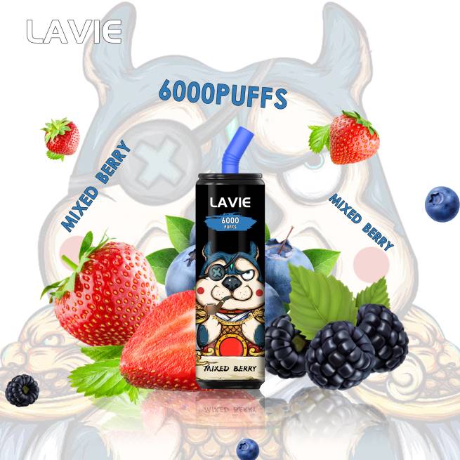 LF6X272 Vape Liquid - gemischte Beere LAVIE Coke BAR 6000 Züge