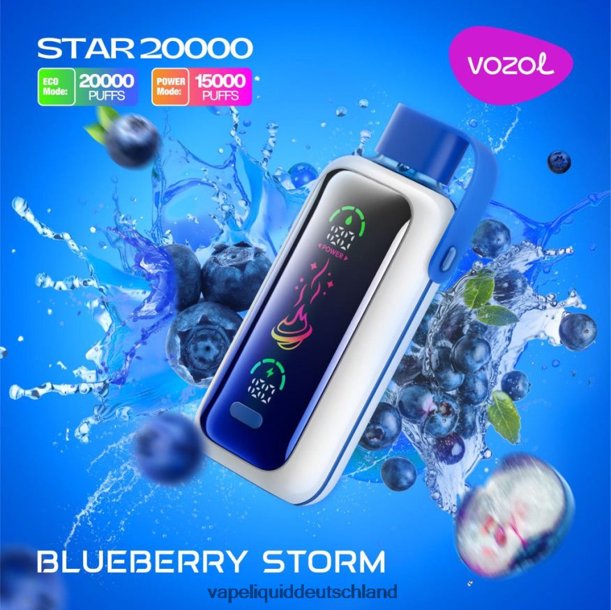 VOZOL STAR 20000 R6FT665 Blaubeersturm Vape 12000 Züge