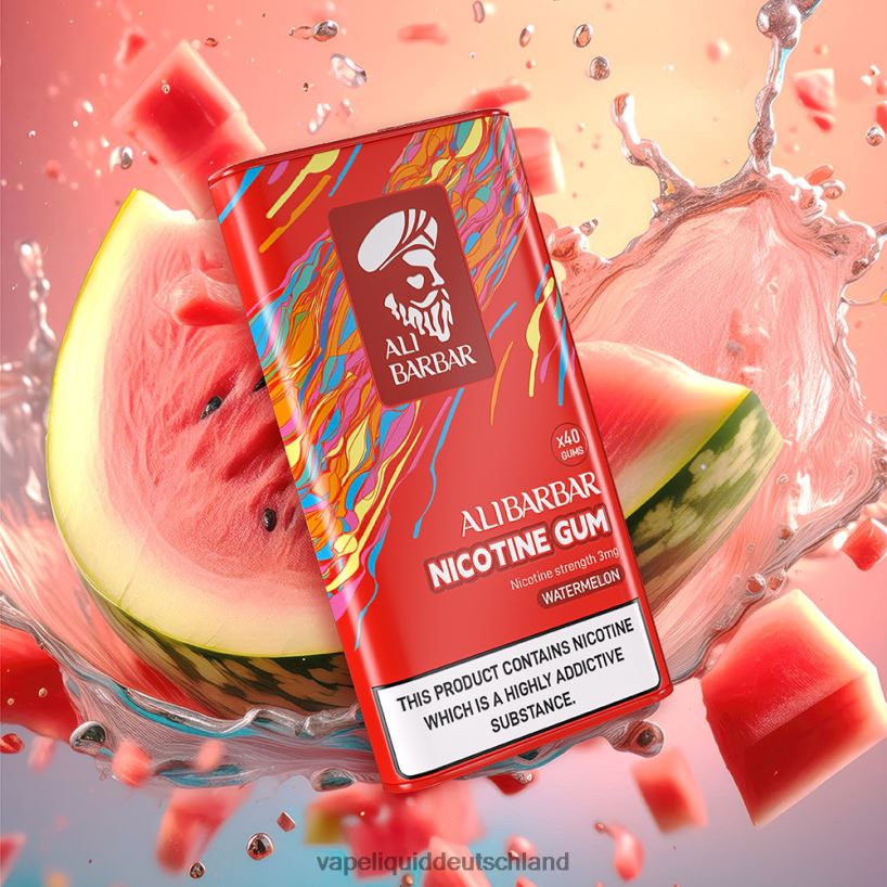 Alibarbar Nikotinkaugummi Minze X068JX101 Vape Deutschland